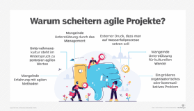 Warum agile Projekte scheitern Infografik