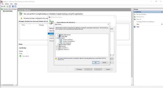 Screenshot of Windows Server Backup