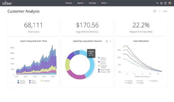 An organization's customer information is displayed on a sample dashboard from Looker.