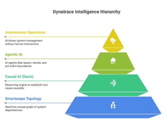 Chart showing the Dynatrace Intelligence Hierarchy. 