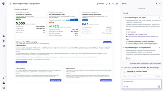 SAP Campaign Assistant screenshot