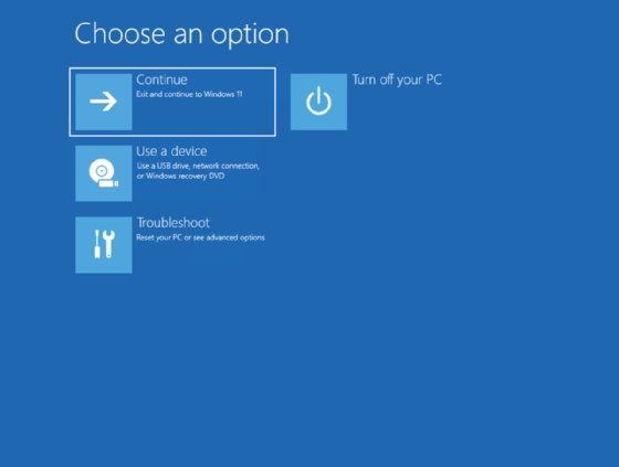 The 'Choose an option' screen in Windows 11.
