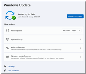 The 'Windows Update' screen in the Windows 11 system settings.