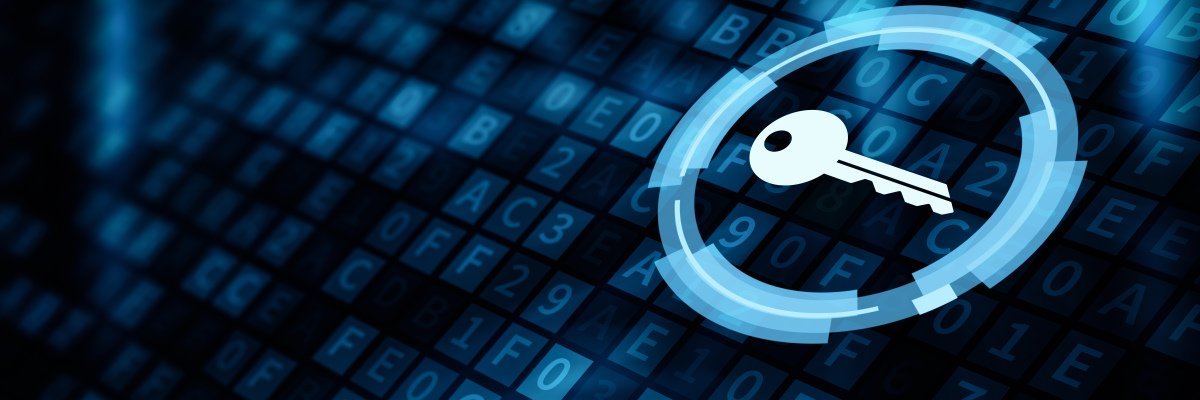 https://www.techtarget.com/visuals/LeMagIT/hero_article/Key-access-AdobeStock_280346470-hero.jpeg