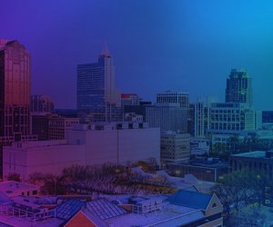 RaleighSummit2015-960×400