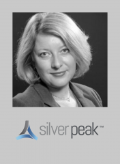 Tech marketer Talks Silver Peak
