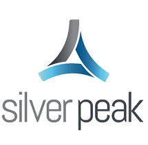 Silver Peak Infographic