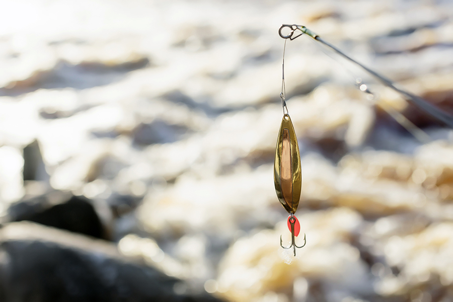 Close-up of fishhook